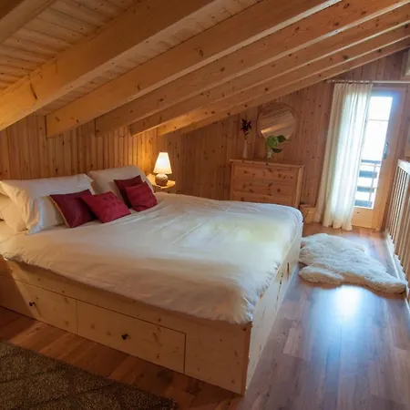 Lisa Ski-in, Ski-out Well Equipped Chalet *