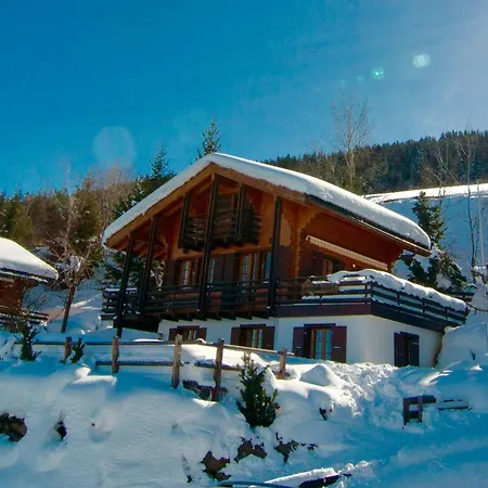 Lisa Ski-in, Ski-out Well Equipped *