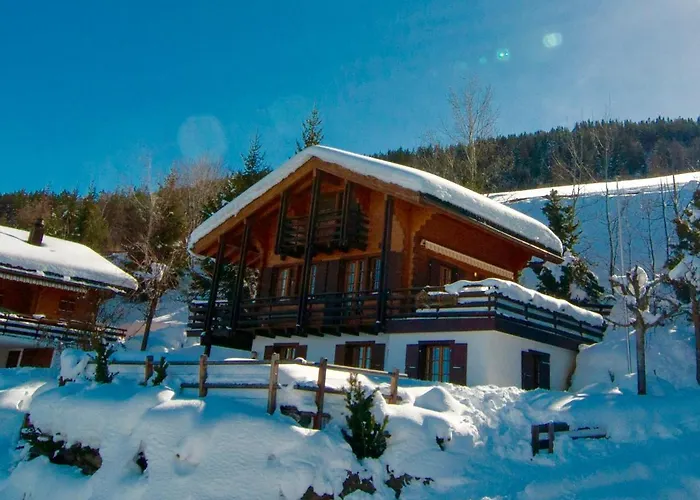 Lisa Ski-in, Ski-out Well Equipped *